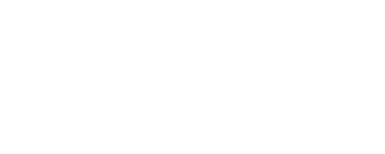10 dm